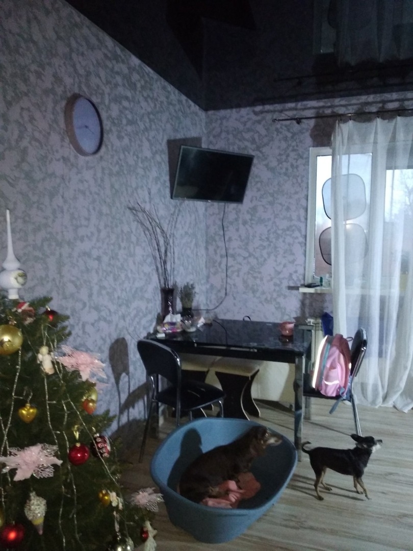 продажа дома номер H-174643 в Светлом, фото номер 8